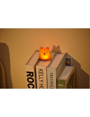 Tiny Nightlight Vos