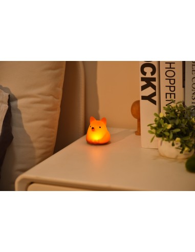 Tiny Nightlight Vos