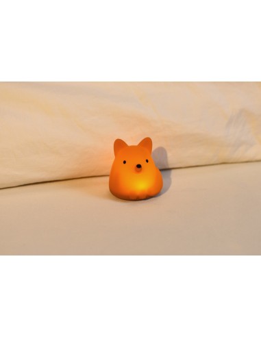 Tiny Nightlight Vos