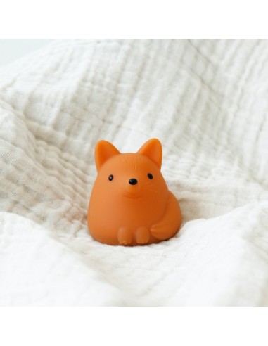 Tiny Nightlight Vos