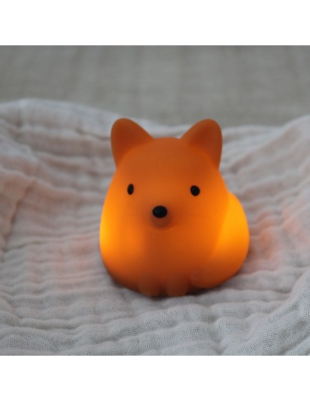 Tiny Nightlight Vos