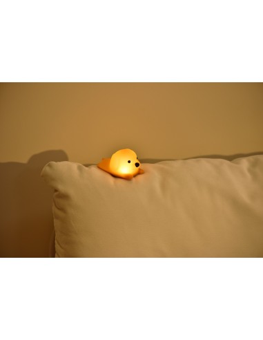 Tiny Nightlight Hond