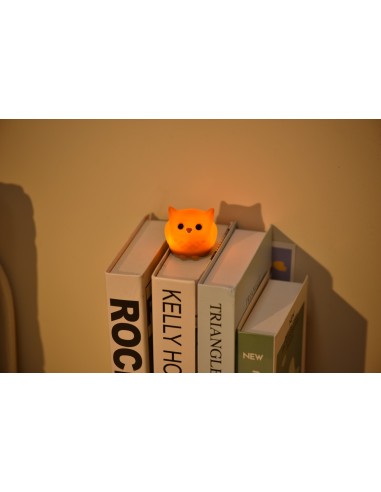 Tiny Nightlight Uil