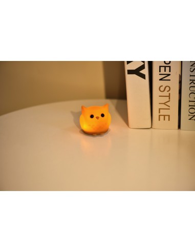Tiny Nightlight Uil