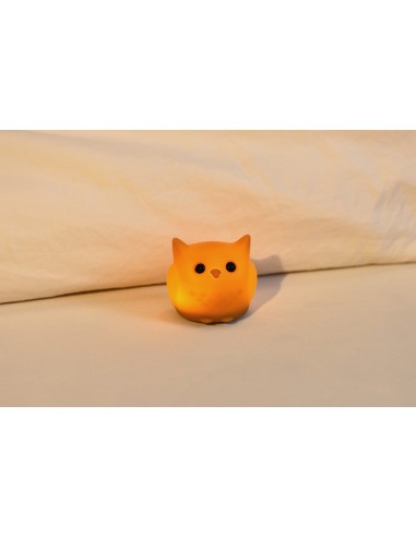 Tiny Nightlight Uil