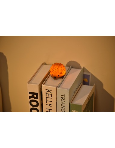 Tiny Nightlight Egel