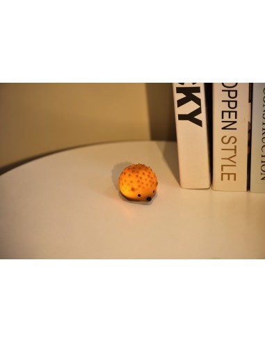 Tiny Nightlight Egel