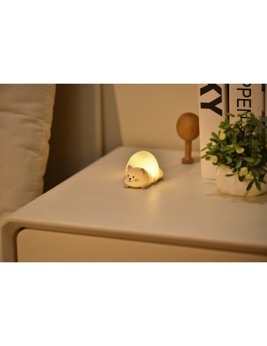 Tiny Nightlight Kat