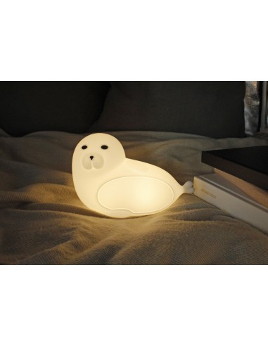 Nightlight Seal