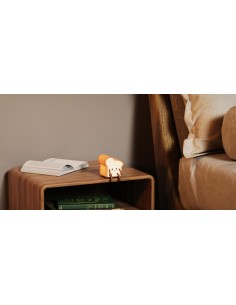 Food Nightlight - mini Toast Tony brood 2
