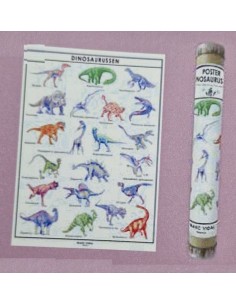 Marc Vidal - Poster Dinosaurussen in kartonnen koker NL