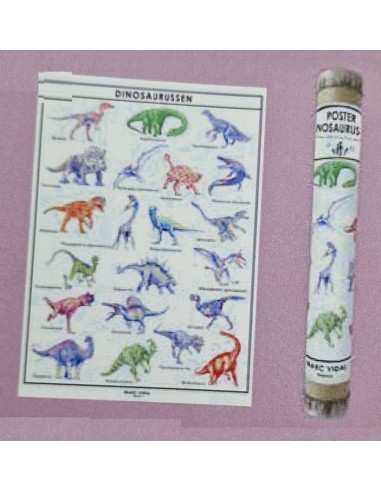 Marc Vidal - Poster Dinosaurussen in kartonnen koker NL