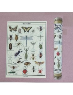 Marc Vidal - Poster Insecten in kartonnen koker NL
