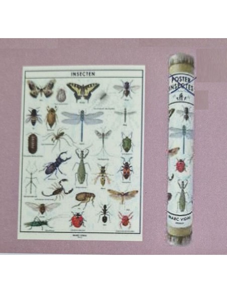 Marc Vidal - Poster Insecten in kartonnen koker NL