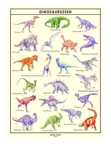 Marc Vidal - Poster Dinosaurussen in kartonnen koker NL