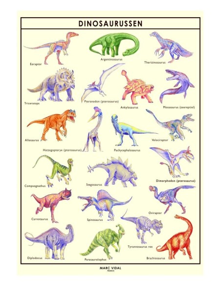 Marc Vidal - Poster Dinosaurussen in kartonnen koker NL