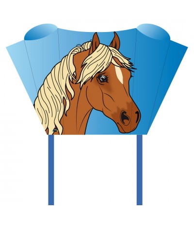 Display: Sleddy Mix (12)