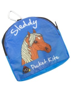 Sleddy Pony 2