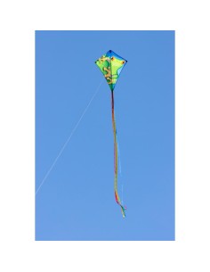 Eddy Froggy 70 x 58 cm Kinderdraak 2