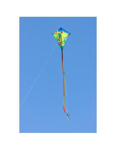 Eddy Froggy 70 x 58 cm Kinderdraak