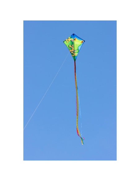 Eddy Froggy 70 x 58 cm Kinderdraak