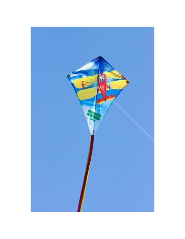 Eddy Classic Biplane 70 cm