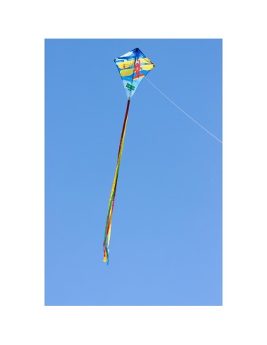 Eddy Classic Biplane 70 cm