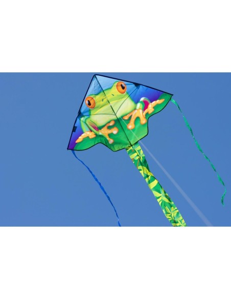 Simple Flyer Froggy