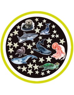 Brainstorm - Glow Stars & Sea Creatures 2
