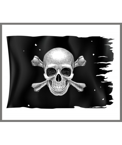 Pirate Torch and Projector 2