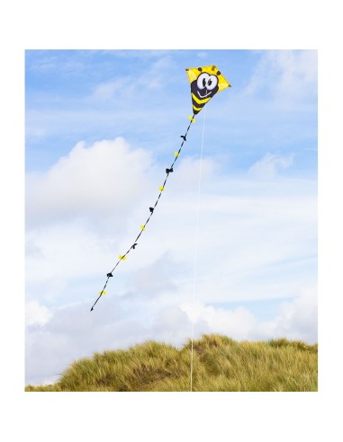 Eddy Bumble Bee - 50x45cm