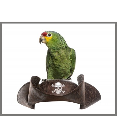 Brainstorm - Pirate Torch and Projector - zaklamp piraat