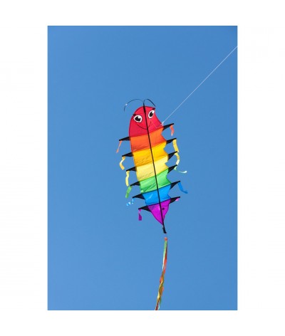 Flapping Willie Worm