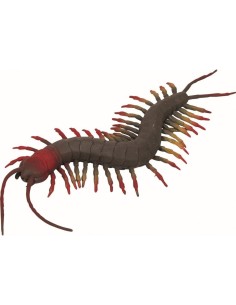 Wiebelende duizendpoot 23 cm 2