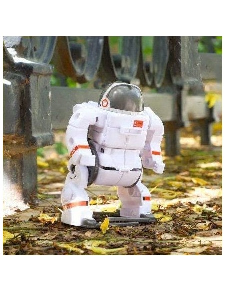 Satzuma - 6-in-1 Space Robots bouwpakket