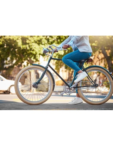 Bike Bee Spoke Clips spakenversiering