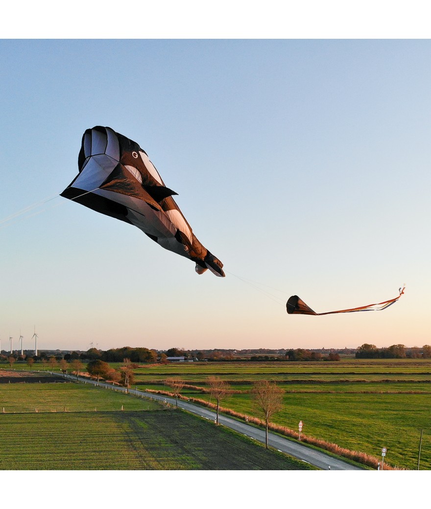 Parafoil Kite Orca