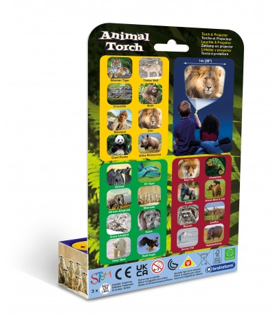 Brainstorm - Animal Torch 2