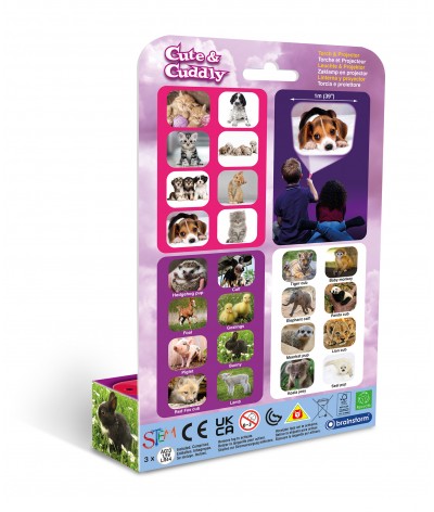 Brainstorm - Cute & Cuddly Torch and Projector 2