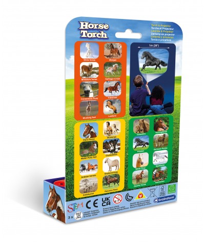 Brainstorm - Horse Torch 2