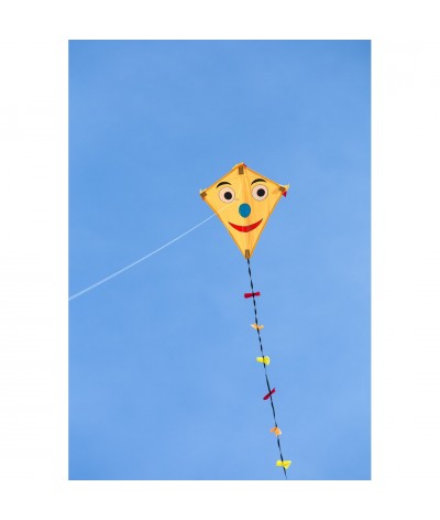 Ecoline: Eddy Happy Face 50cm