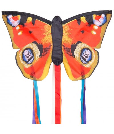 Butterfly Kite Peacock R