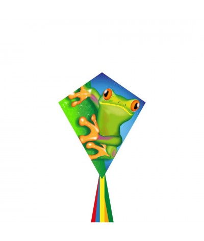 Eddy Froggy 70 x 58 cm Kinderdraak