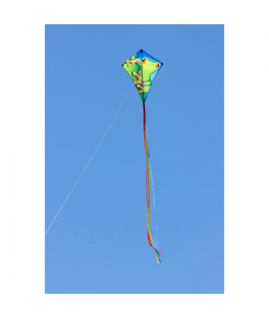 Eddy Froggy 70 x 58 cm Kinderdraak