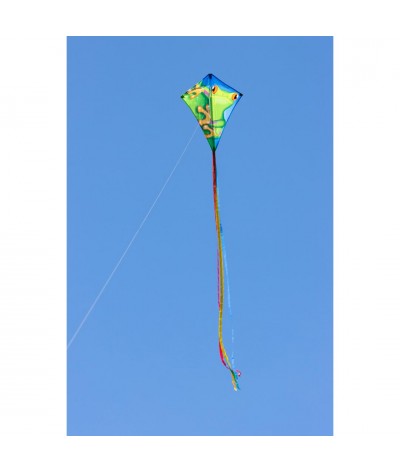 Eddy Froggy 70 x 58 cm Kinderdraak