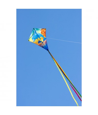 Eddy Dolphin Sunset 2