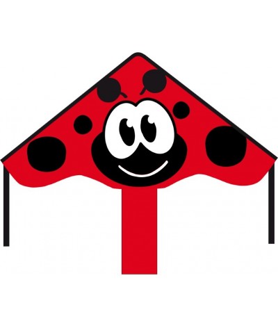 Ecoline: Simple Flyer Ladybug 85 cm