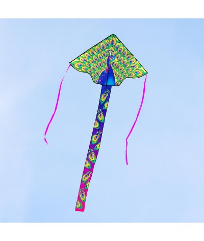 Simple Flyer Peacock