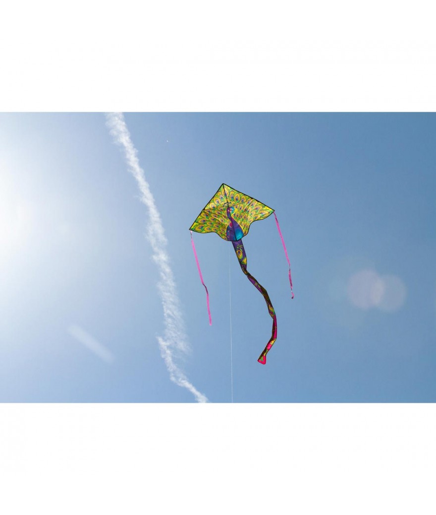Simple Flyer Peacock