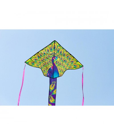 Simple Flyer Peacock 2